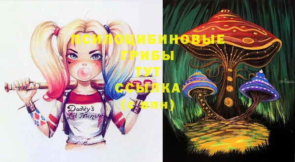 дурь Арсеньев