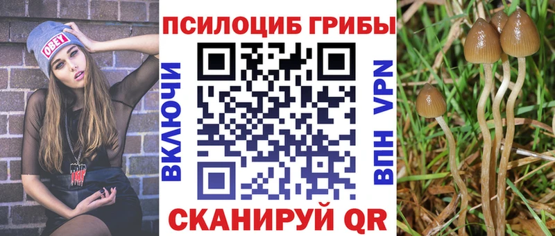 Галлюциногенные грибы мухоморы  Тетюши 